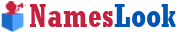 NamesLook Logo