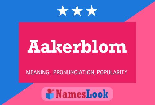 Pôster do nome Aakerblom