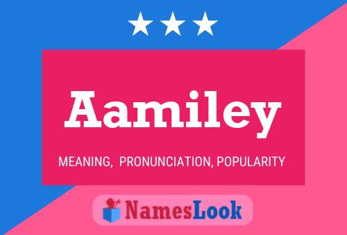 Pôster do nome Aamiley