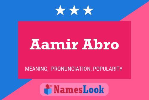 Pôster do nome Aamir Abro