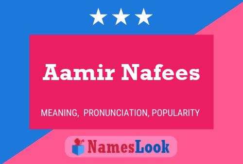 Pôster do nome Aamir Nafees