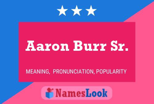 Pôster do nome Aaron Burr Sr.