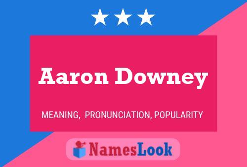 Pôster do nome Aaron Downey