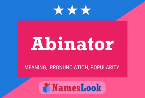 Pôster do nome Abinator