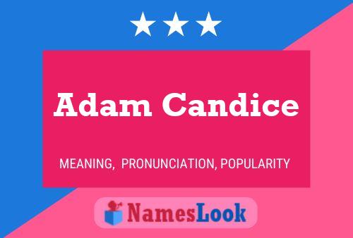 Pôster do nome Adam Candice