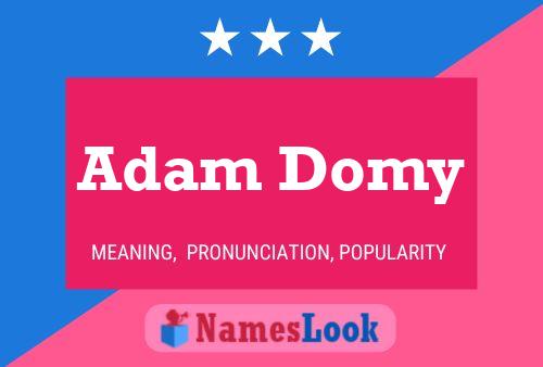 Pôster do nome Adam Domy