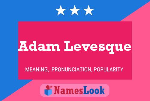 Pôster do nome Adam Levesque