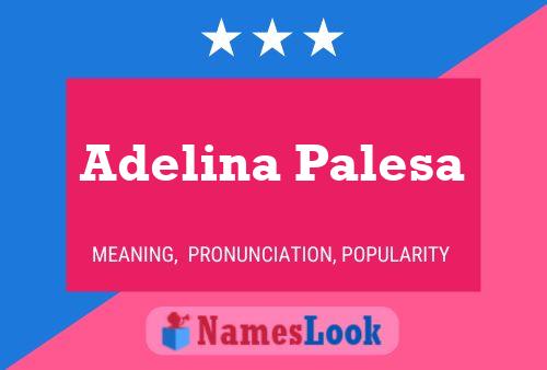 Pôster do nome Adelina Palesa