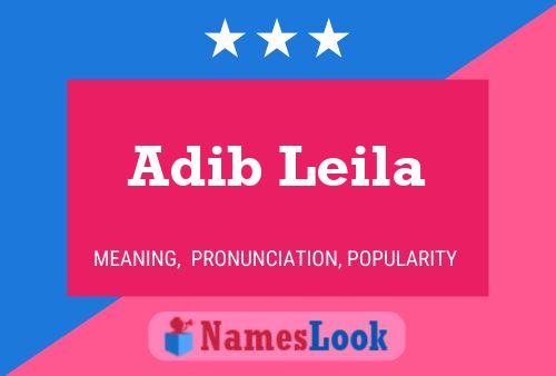 Pôster do nome Adib Leila