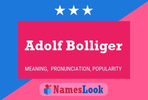 Pôster do nome Adolf Bolliger