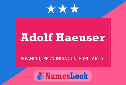 Pôster do nome Adolf Haeuser