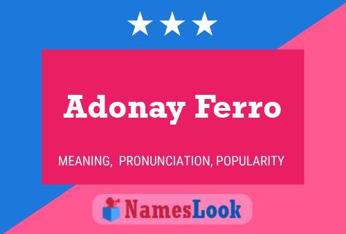 Pôster do nome Adonay Ferro