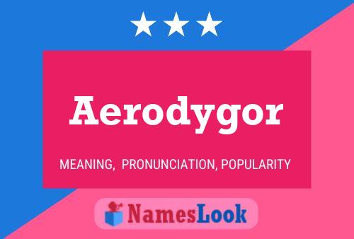 Pôster do nome Aerodygor