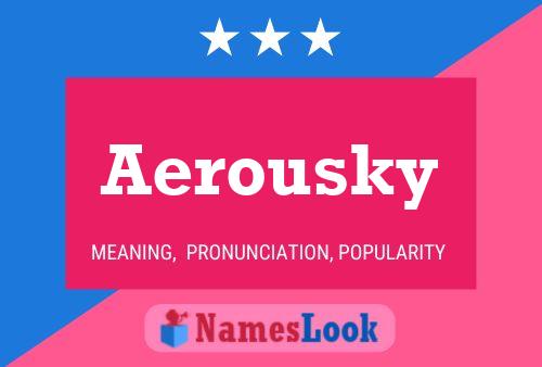 Pôster do nome Aerousky