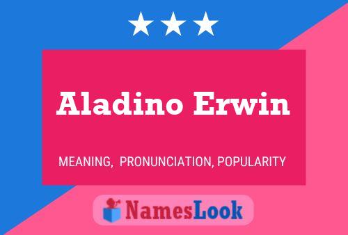 Pôster do nome Aladino Erwin