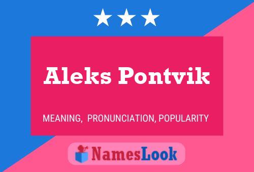 Pôster do nome Aleks Pontvik