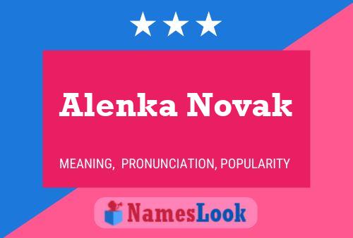 Pôster do nome Alenka Novak