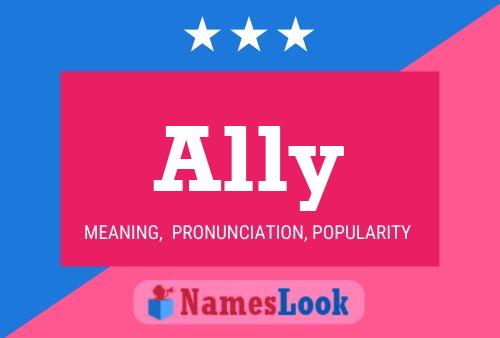 Pôster do nome Ally