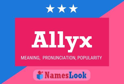 Pôster do nome Allyx