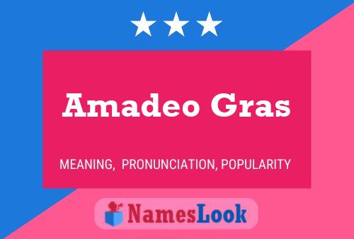 Pôster do nome Amadeo Gras