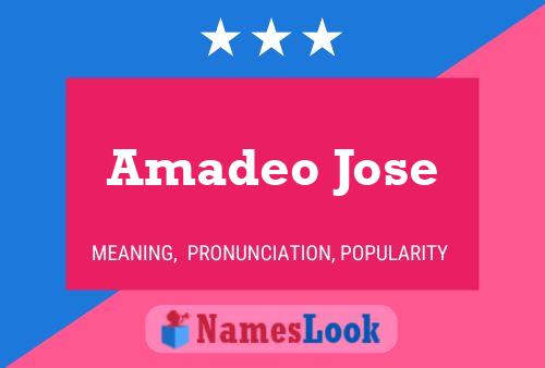 Pôster do nome Amadeo Jose