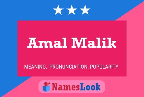 Pôster do nome Amal Malik