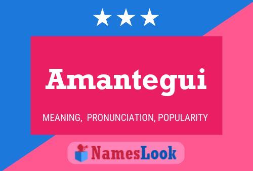 Pôster do nome Amantegui