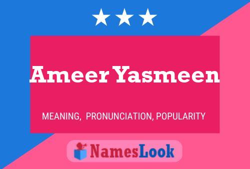 Pôster do nome Ameer Yasmeen