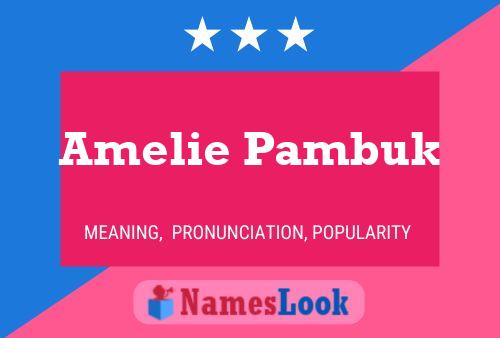 Pôster do nome Amelie Pambuk