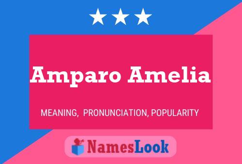 Pôster do nome Amparo Amelia