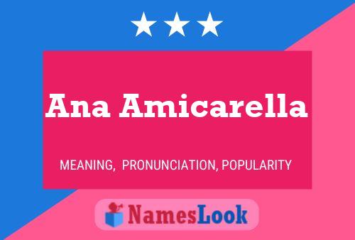 Pôster do nome Ana Amicarella