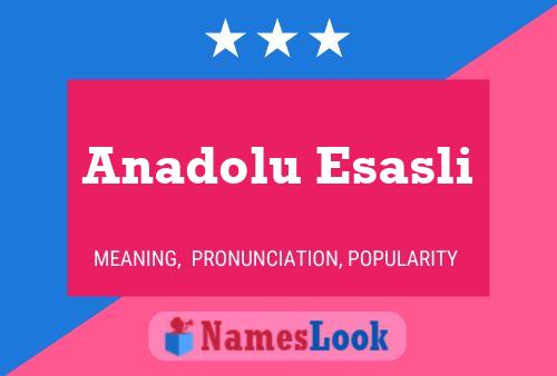 Pôster do nome Anadolu Esasli