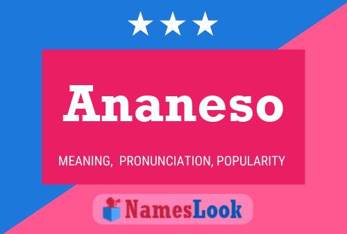 Pôster do nome Ananeso