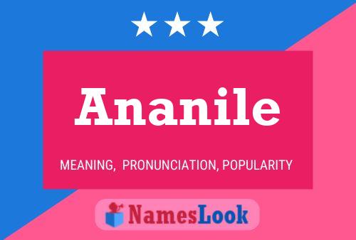 Pôster do nome Ananile