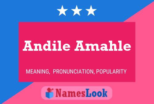 Pôster do nome Andile Amahle