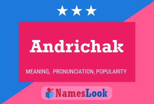 Pôster do nome Andrichak