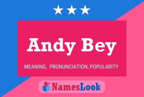 Pôster do nome Andy Bey