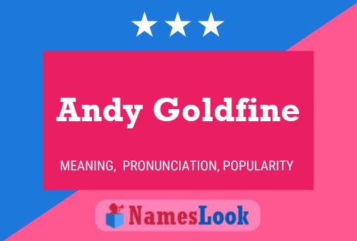 Pôster do nome Andy Goldfine