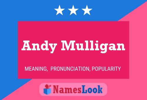 Pôster do nome Andy Mulligan