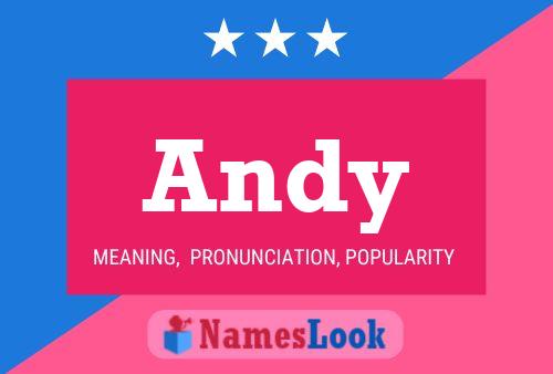 Pôster do nome Andy