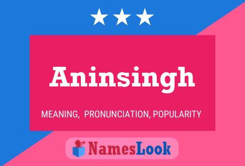 Pôster do nome Aninsingh