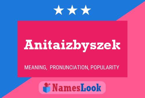 Pôster do nome Anitaizbyszek