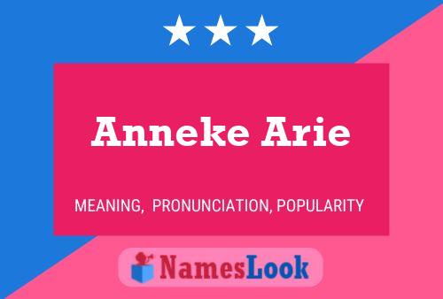 Pôster do nome Anneke Arie