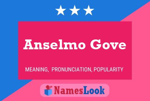 Pôster do nome Anselmo Gove