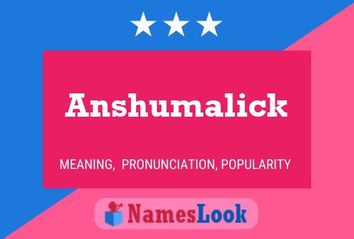 Pôster do nome Anshumalick