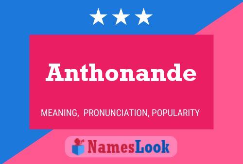 Pôster do nome Anthonande