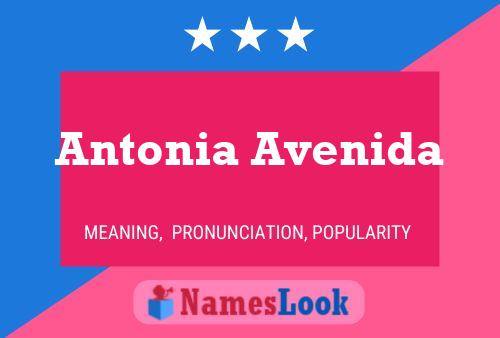 Pôster do nome Antonia Avenida