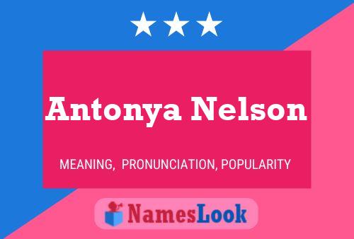 Pôster do nome Antonya Nelson