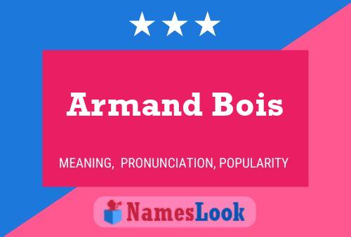 Pôster do nome Armand Bois