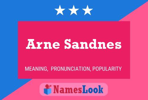 Pôster do nome Arne Sandnes